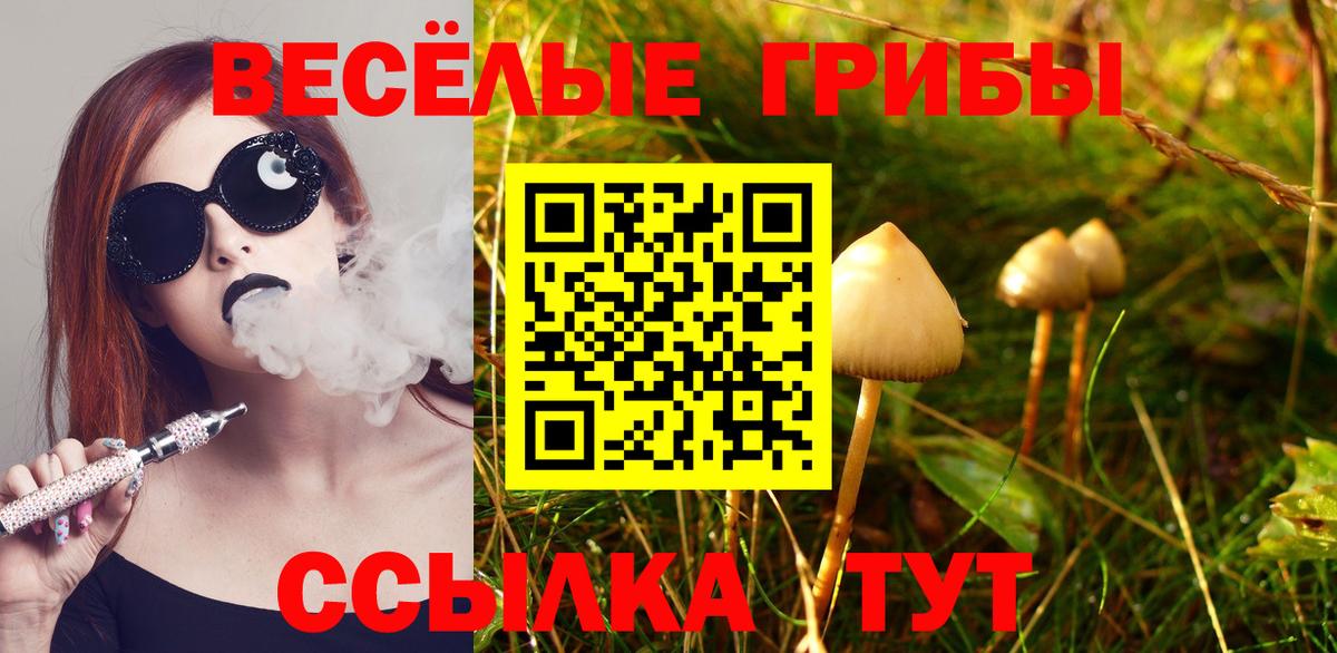 Псилоцибиновые грибы MAGIC MUSHROOMS  Вход с VPN  Галлюциногенные грибы ЛСД  Нижнекамск 